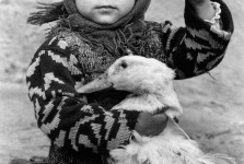 Girl with her Pet Goose