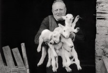Man with Newborn Lambs