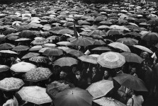 The Umbrellas 